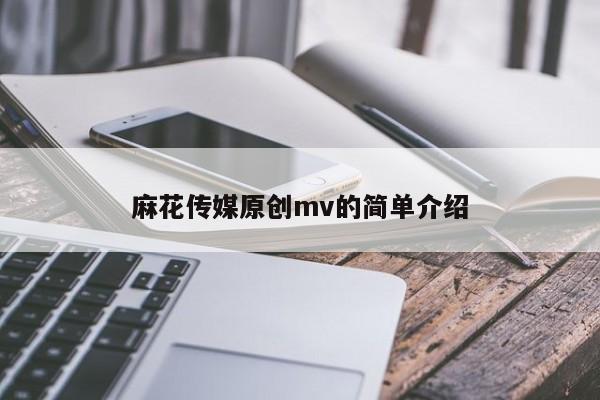 麻花传媒原创mv的简单介绍